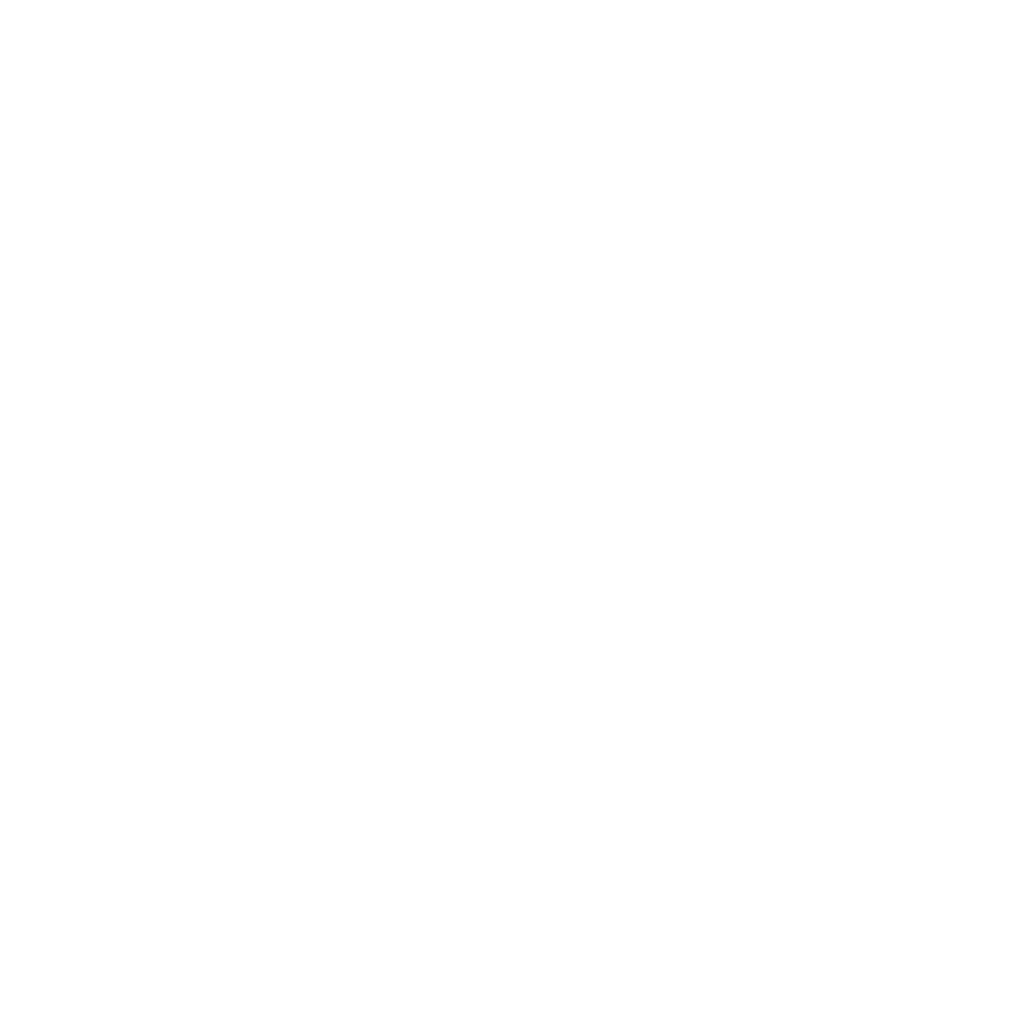 denver airport transportation icon